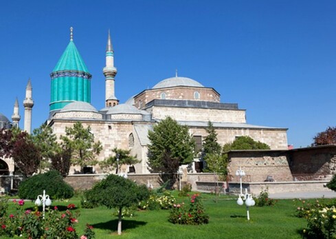 hinhanh